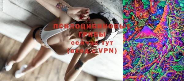 ешки Балахна