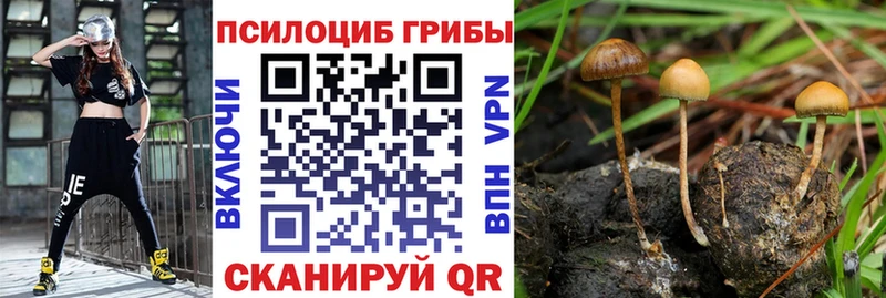 где продают наркотики  Сердобск  Галлюциногенные грибы мицелий 